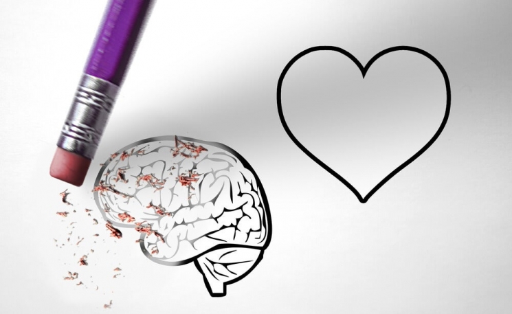 Humano en plenitud: Razón más Emoción.
