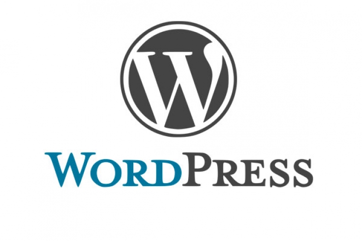 Aprende Wordpress en 1 día