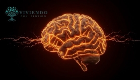 El Cerebro (I). Viviendo Con Sentido