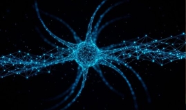 Human in the loop. El poder de la Inteligencia Humana